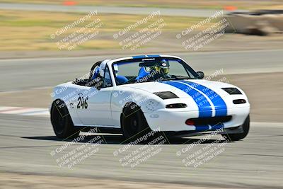 media/May-24-2025-Turn8 Trackdays (Sat) [[034586b55d]]/2 Advanced 1/Session 2 (Cotton Corners-Grapevine)/